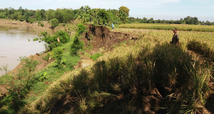 350 Meter Sawah Milik Warga Tukdana Hilang Tergerus Erosi