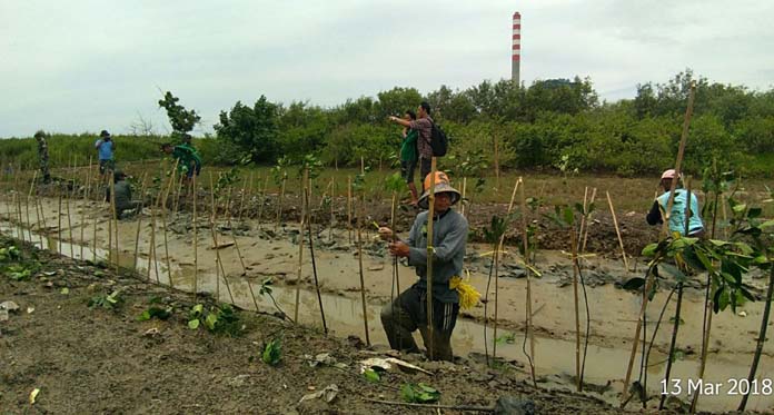 Jaga Lingkungan Pesisir, Cirebon Power Bersama Warga Tanam 5.000 Bibit Mangrove