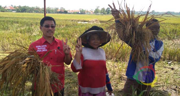 Sunjaya Ingin Pertanian Maju dan Petani Sejahtera