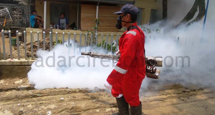 Sudah Ada Korban, Dinkes Gerak Cepat Cegah DBD