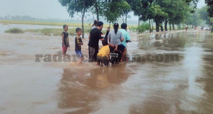 11,5 Ton Gabah Tersapu Banjir, Kerugian Ditaksir Rp262 Juta