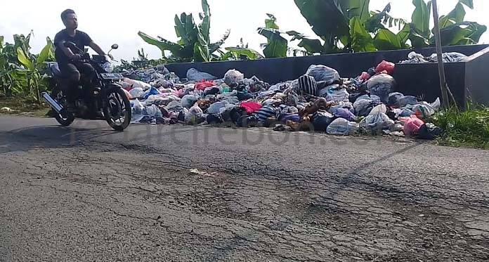 Warga Terganggu Sampah TPS Jalan Raya Perindustrian Sindang yang Berserekan ke Bahu Jalan