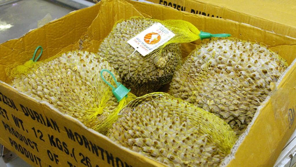 Geger Bau Durian, 500 Orang Dievakuasi dari Perpustakaan di Melbourne