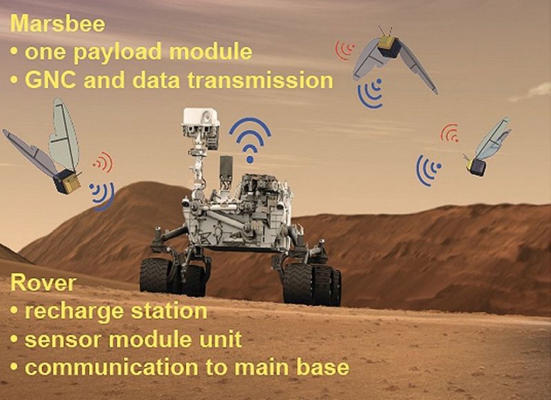 NASA Kirim Lebah ke Mars?