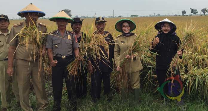 Pasokan Air Waduk Jatigede Belum Masuk Kabupaten Cirebon