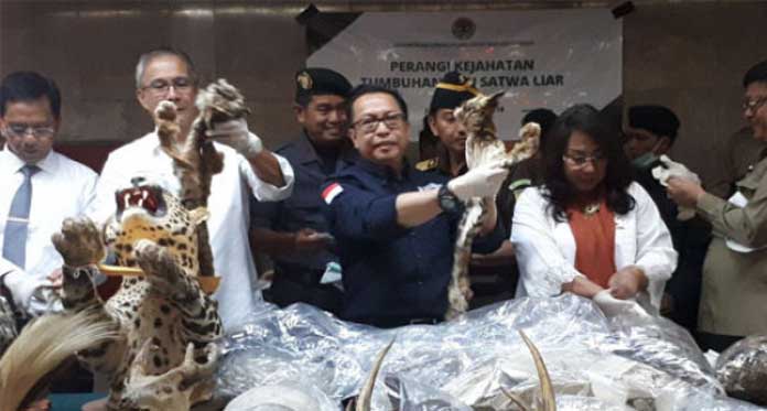 Kementerian LHK Musnahkan Ribuan Barang Bukti Tubuh Satwa Liar