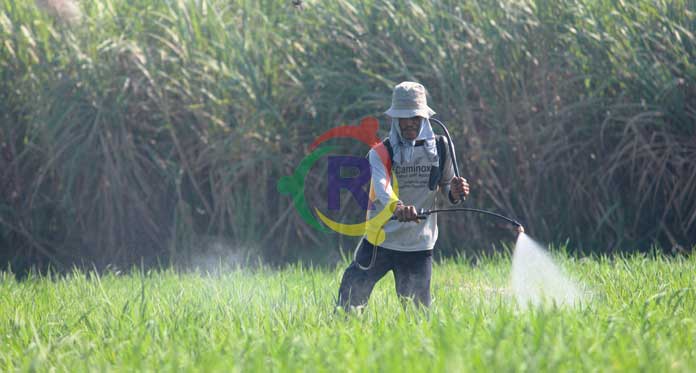 Petani Minta Pemkab Cirebon Keluarkan Moratorium Perumahan