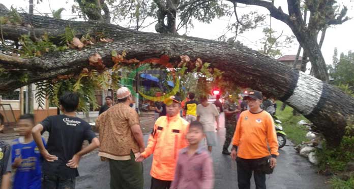 Angin Kencang Dahsyat Hancurkan Kuningan Timur