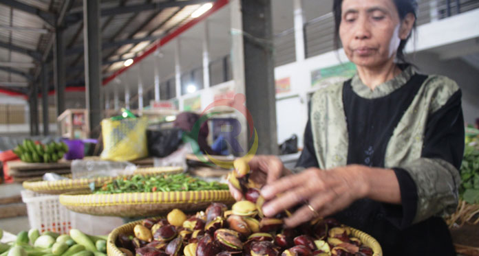 Harga Jengkol Rp 70 Ribu/Kg