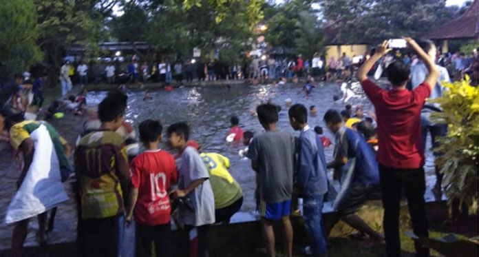 Yakin Menang, Pendukung AR Serbu Kolam Ikan Bumina Aki dan Cukur Gundul