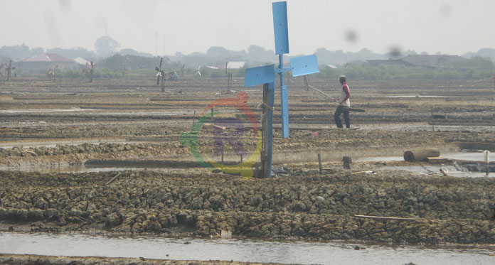 Petani Garam Minta Batasan Harga