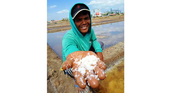 Cuaca Labil, Hasil Panen Garam Tidak Optimal