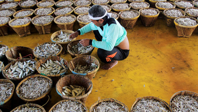 Musim Paceklik, Harga Ikan Naik