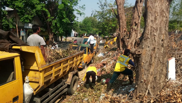Bina Marga Provinsi Turun Angkut Sampah Bekas Penebangan Pohon