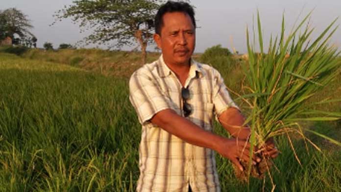 Petani Tuding Pemerintah Tidak Adil soal Pembagian Air