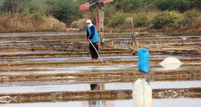 Petani Garam di Kabupaten Cirebon Butuh Gudang Penyimpanan