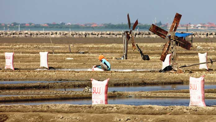 Produksi Melimpah, Harga Garam Anjlok