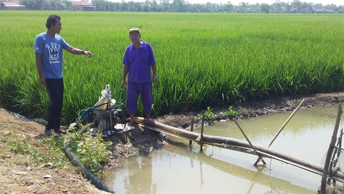 3 Hari Tak Pulang dan Tidur di Sawah demi Air