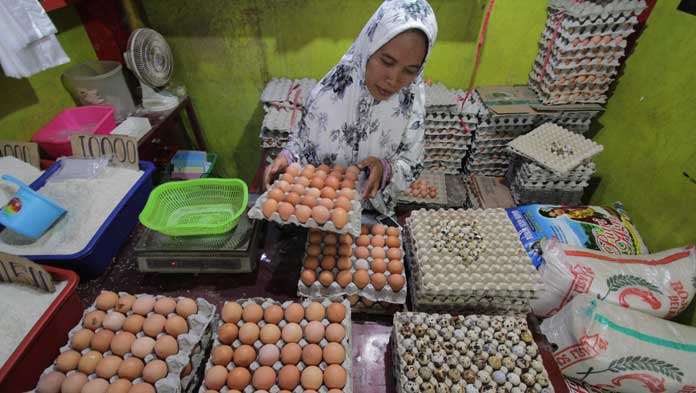 Harga Telur di Tingkat Distributor Dijual Rp27 Ribu Perkilo