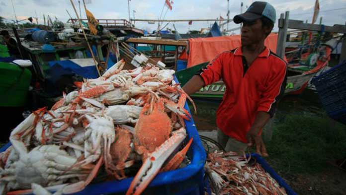 Musim Angin Tonggar, Tangkapan Rajungan di Indramayu Merosot