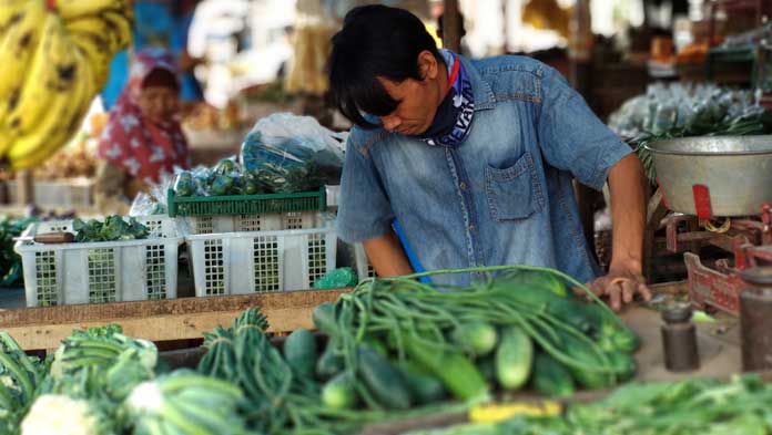 Giliran Harga Mentimun Bikin Kaget