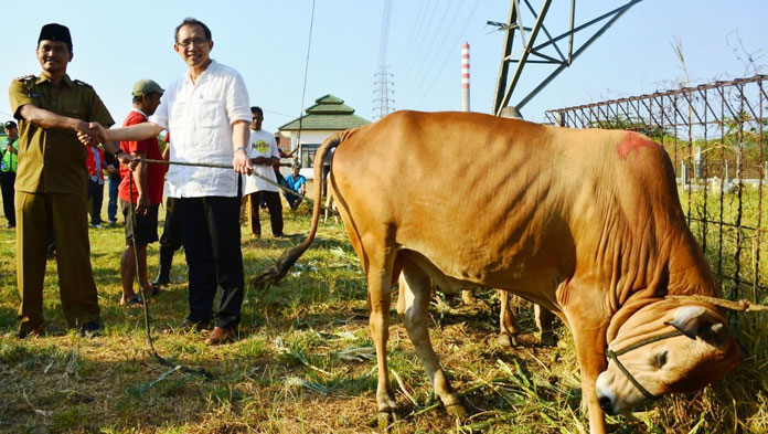 Cirebon Power Serahkan 40 Hewan Korban untuk Desa dan Kecamatan