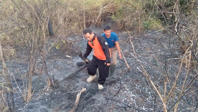 3 Hektare Lahan Hutan Kota Gara Tengah Hangus Terbakar