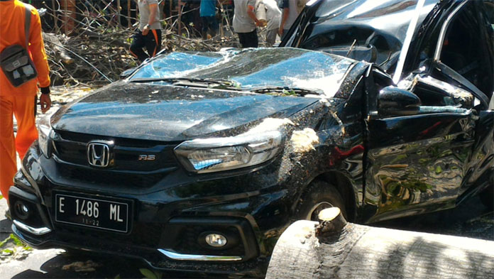 Ini Kisah Keluarga dan Sopir Selamat di Dalam Mobil yang Tertimpa Pohon Besar