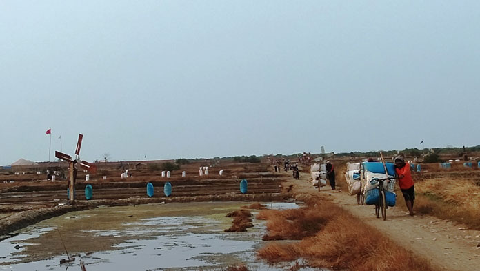 Petani Terpaksa Jual Garam ke Tengkulak, Ini Sebabnya