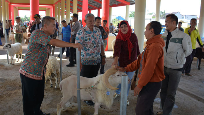 Harga Kambing Kurban di Kuningan Melonjak Naik