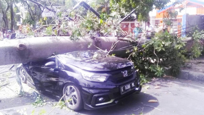 Pohon Randu Besar Tumbang Timpa Mobil dan 2 Motor di Jalan Pemuda, 1 Kritis