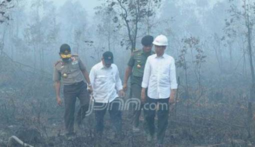 Kasus Kebakaran Hutan, 12 Sanksi Untuk Jokowi