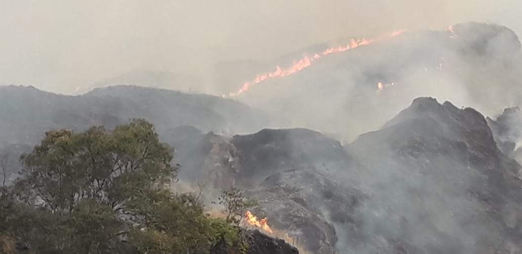 Kawasan Taman Nasional Gunung Ciremai Terbakar