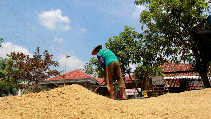 30 Desa di Indramayu Masih Tertinggal