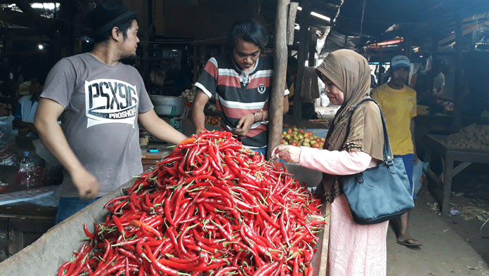 Stok Melimpah, Harga Cabai Murah Meriah