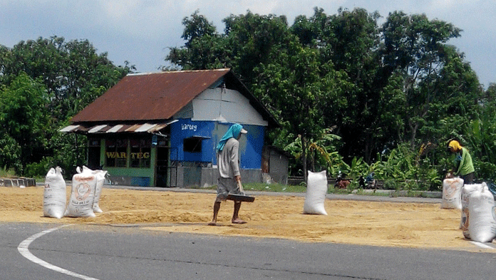 Haga Gabah Sentuh Rp 6.000/Kg