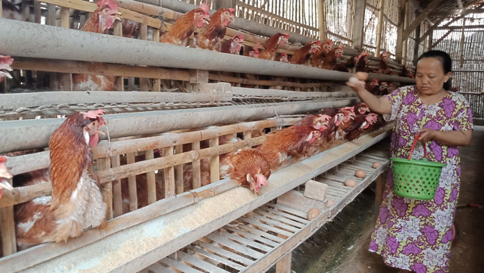 Gegara Harga Telur Ayam, Ratusan Peternak Turun ke Jalan