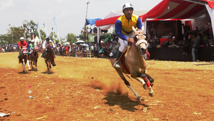 70 Kusir Delman di Kuningan Adu Pacu Kuda Tradisional