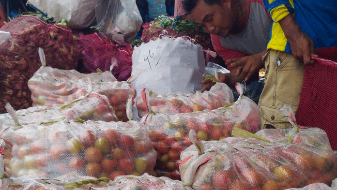 Waduh, Harga Tomat Sekarung Rp 20 Ribu