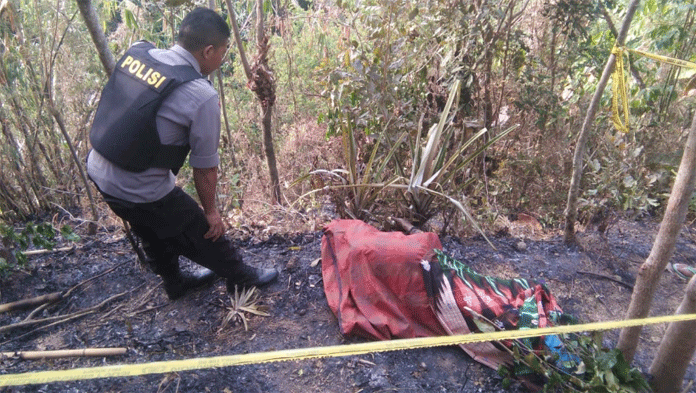 Sehari, 2 Petani Tewas Terbakar Saat Bekerja di Kebun