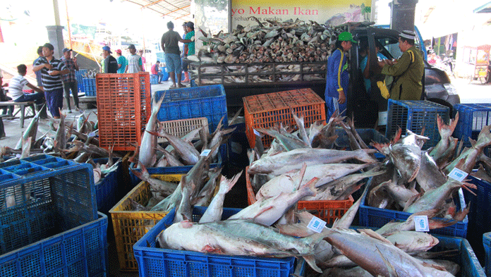 Catur Wulan 1, Ekspor Ikan dari Wilayah Cirebon Tembus Rp 503,1 Miliar