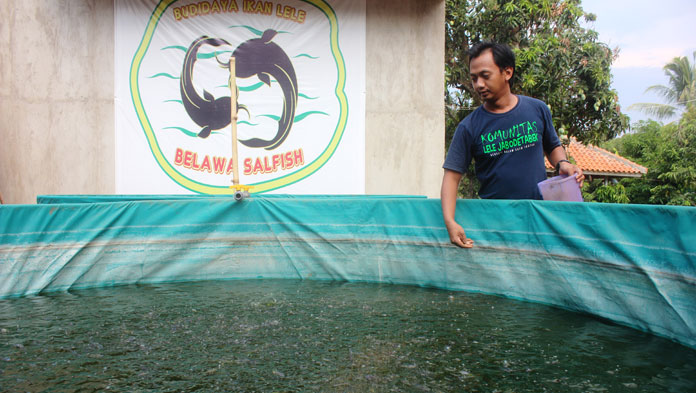 Petani Ikan Tantang Pemkab Atasi Kebutuhan Pakan Ikan