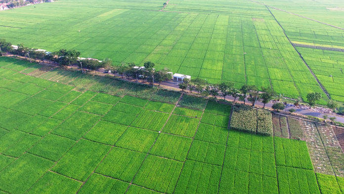 Suplai Air Bakal Ditutup, Ribuan Ha Sawah Terancam Gagal Panen