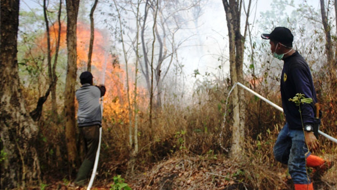 Gawat! Kebakaran Hutan Gunung Ciremai Sudah Mendekati Bukit Seribu Bintang