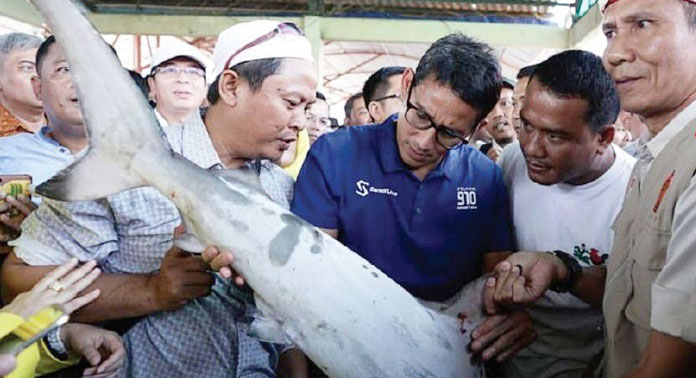 Cawapres Sandiaga Uno Janji Pangkas Izin Tangkap Ikan