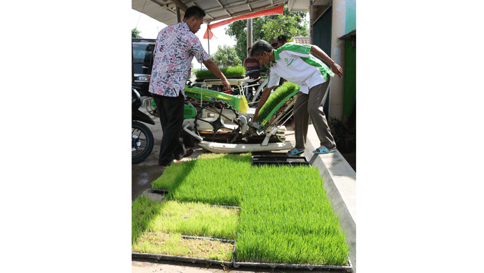 Petani Harus Optimalkan Alsintan