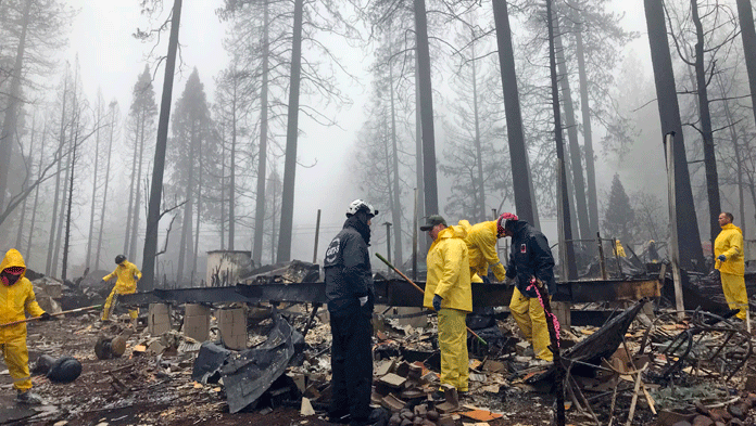 Korban Kebakaran Hutan di California: 84 Tewas, 14.000 Rumah Hancur