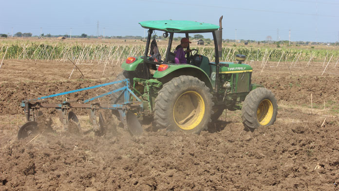 Kredit Telat, Gula Petani Kabupaten Cirebon Tak Laku