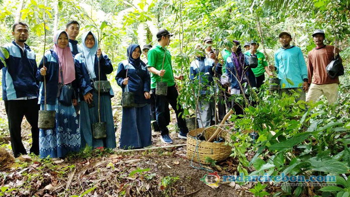 Jaga Lingkungan, Warga Desa Sindanghayu Tanam 100 Pohon Berbagai Jenis