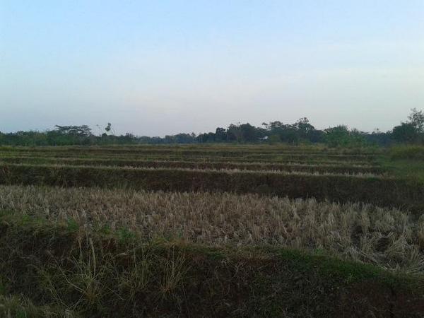 Jejak Nagari-Nagari Hindu di Cirebon
